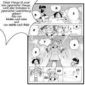 Leserichtung